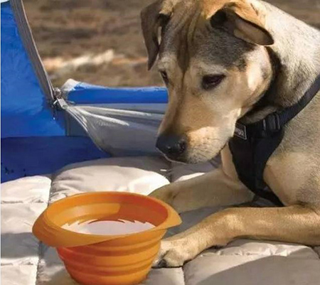 東莞<a href='http://m.stblueangel.com/' class='keys' title='點擊查看關于帝博硅膠制品廠的相關信息' target='_blank'>帝博硅膠制品廠</a>